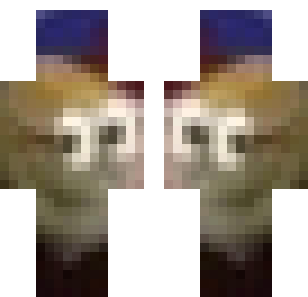 gato