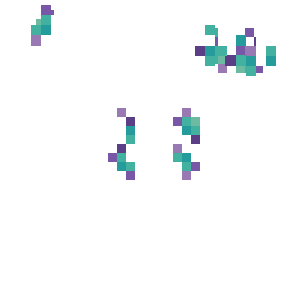 tulups