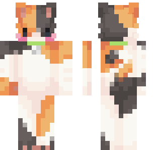 gato calico