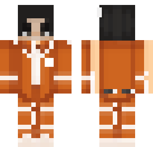 skin minecraft 2