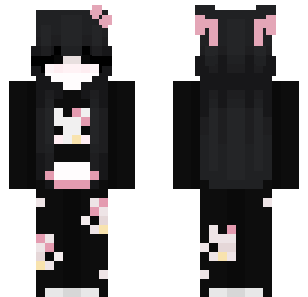 cat noir