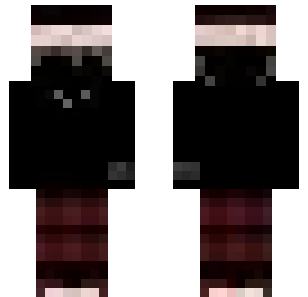 skin