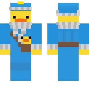 Blue duck in winter