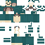 Minecraft skin source