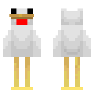 Pollo